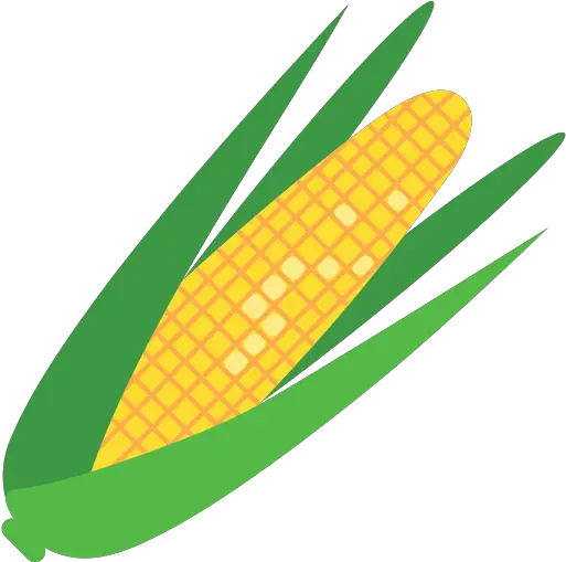 Corn Icon Myiconfinder Maize Icon Png Corn Png