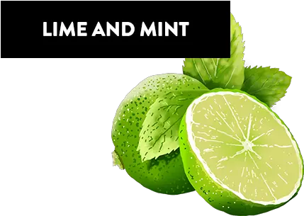 Index Of Wp Contentthemesvkimagesflavour Persian Lime Png Lime Png