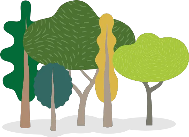 Today Is Arbor Day This Year There Wonu0027t Be Public Tree Illustration Png Group Of Trees Png