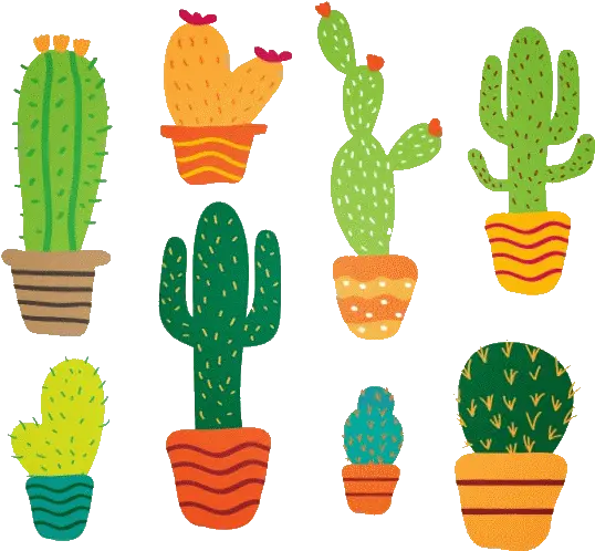 Cactus Vector Free Cactus Illustrations Png Watercolor Cactus Png