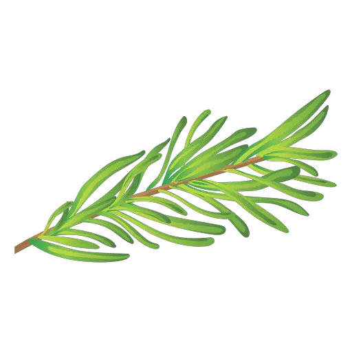 Herb Png And Vectors For Free Download Dlpngcom Rosemary Png Transparent Mint Leaves Png