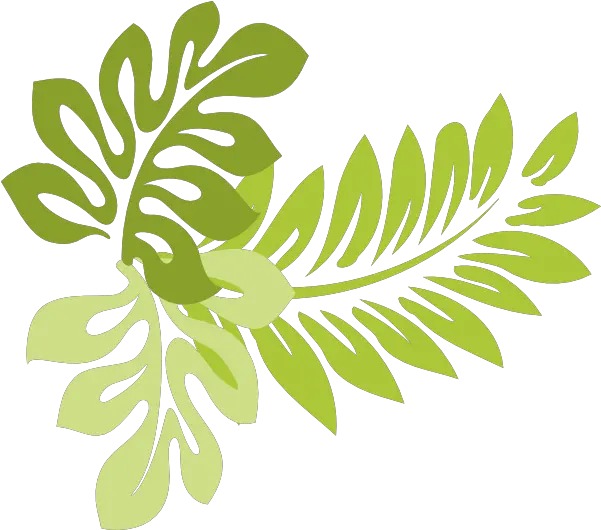 Spring Leaf Transparent Png Clip Art Tropical Leaf Clipart Leaves Clipart Png