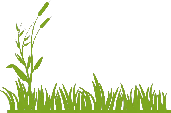 Rumput Png Free Download Clip Art Webcomicmsnet Swamp Clip Art Clip Png