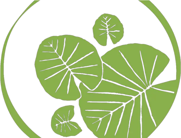 Lily Pad Logo Transparent Png Image Lily Pad Png Lily Pad Png