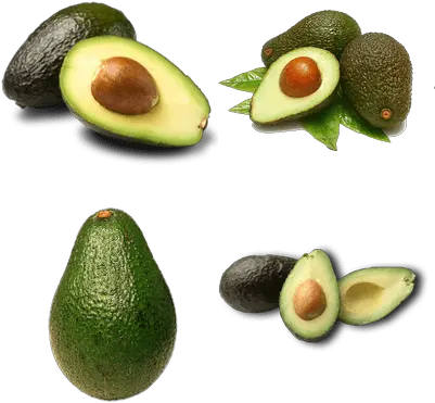 Transparent Background Avocados Hass Avocadopng Png Avocado Transparent Background