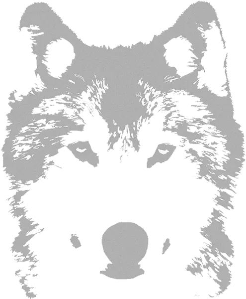 Wolf Video Productions Png Transparent Background