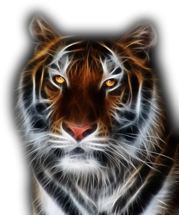 Hd Png Download Tiger 5d Diamond Painting Tiger Transparent Background