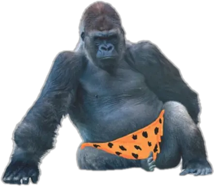Monkey Orange Pants Gorilla Png Transparent Ape Png
