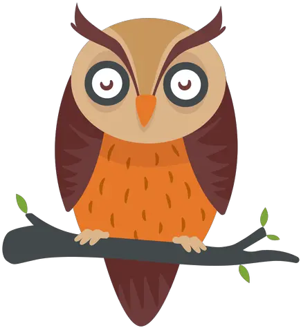 Owl Bird Cartoon Dibujos A Color Animados De Buho Png Owl Transparent