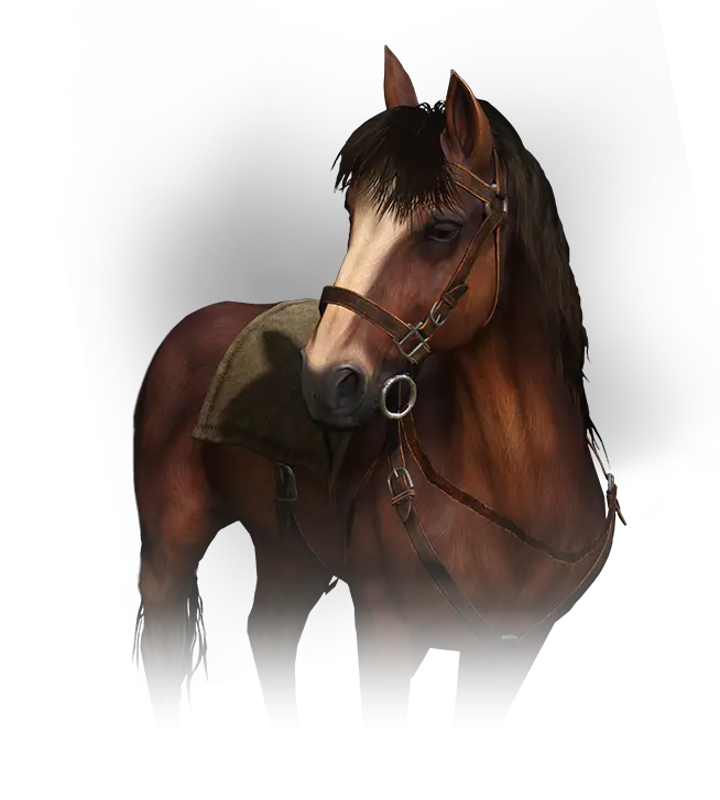 Download Hd Roach The Witcher Transparent Png Image Roach Horse Witcher Png