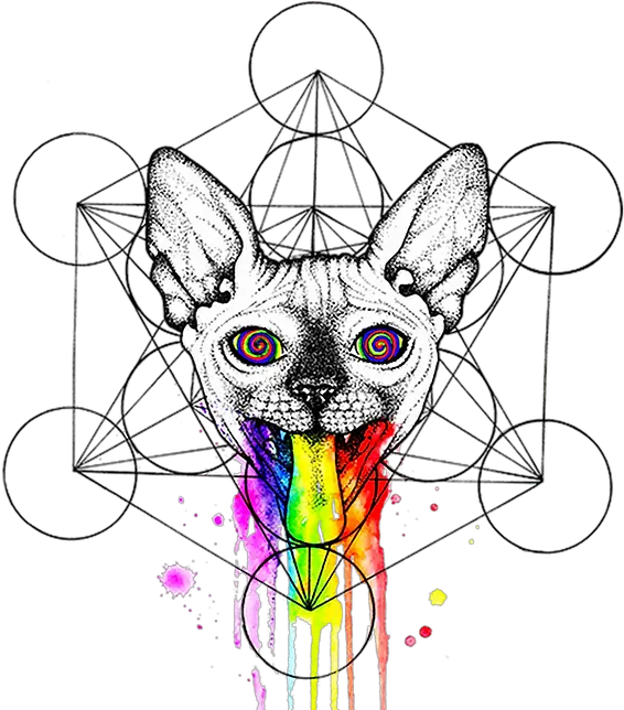 Unicorn Girl Galaxy Version Psyca Psychedelic Sphynx Cat Art Png Deviantart Icon Sizes For Folders