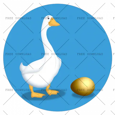 Duck Goose Swan Bird Png Image With Transparent Background