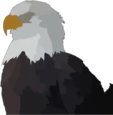 Eagle Head In Color Png Svg Clip Art For Web Download Eagle Head Icon