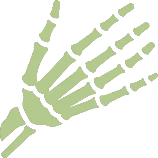 Orthopedic Specialties Bone U0026 Joint Clinic Of Baton Rouge Png Skeleton Foot Icon