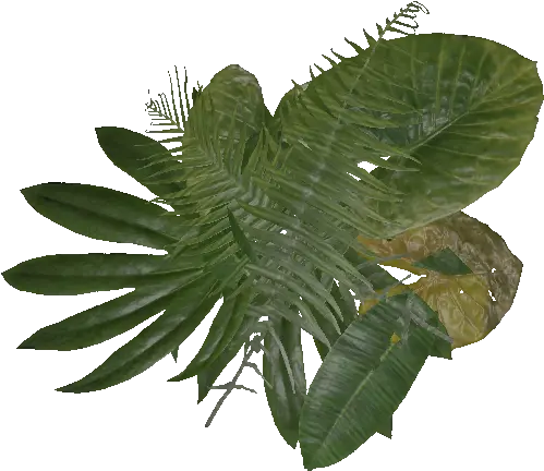 Small Leaf Pile Official Green Hell Wiki Alocasia Png Small Leaf Icon
