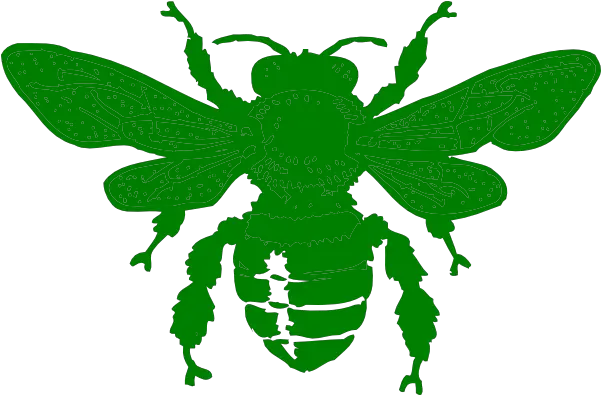 Green Bee Icon Png Green Bee Icon Bee Movie Icon