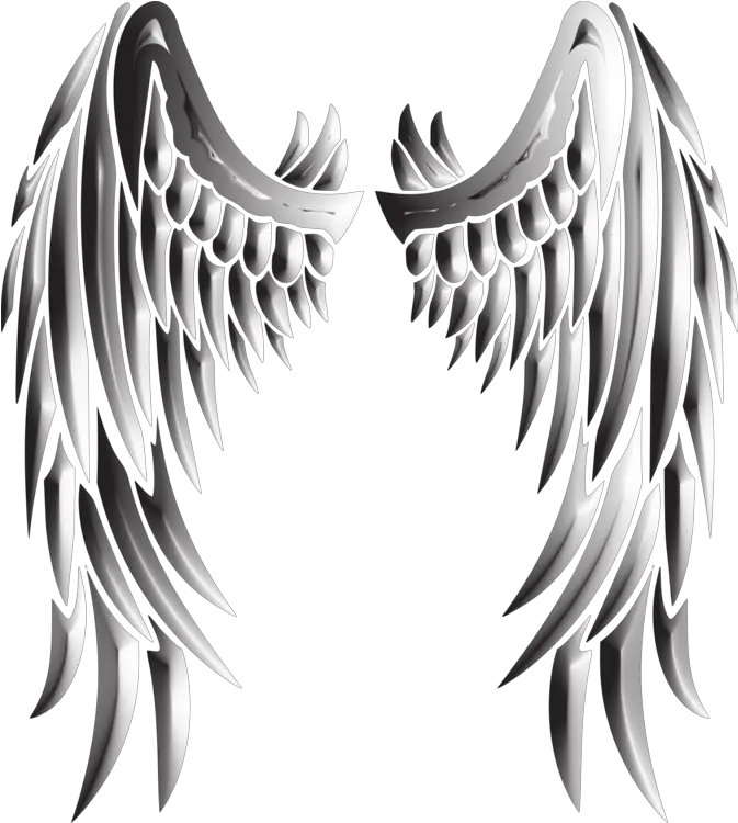 Blackandwhitefeatherwing Png Clipart Royalty Free Svg Png Metallic Angel Wings Png Angel Wing Png