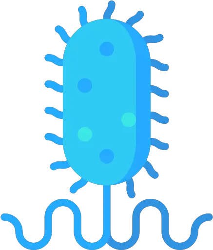 Bacteria Free Education Icons Language Png Bacteria Icon Png