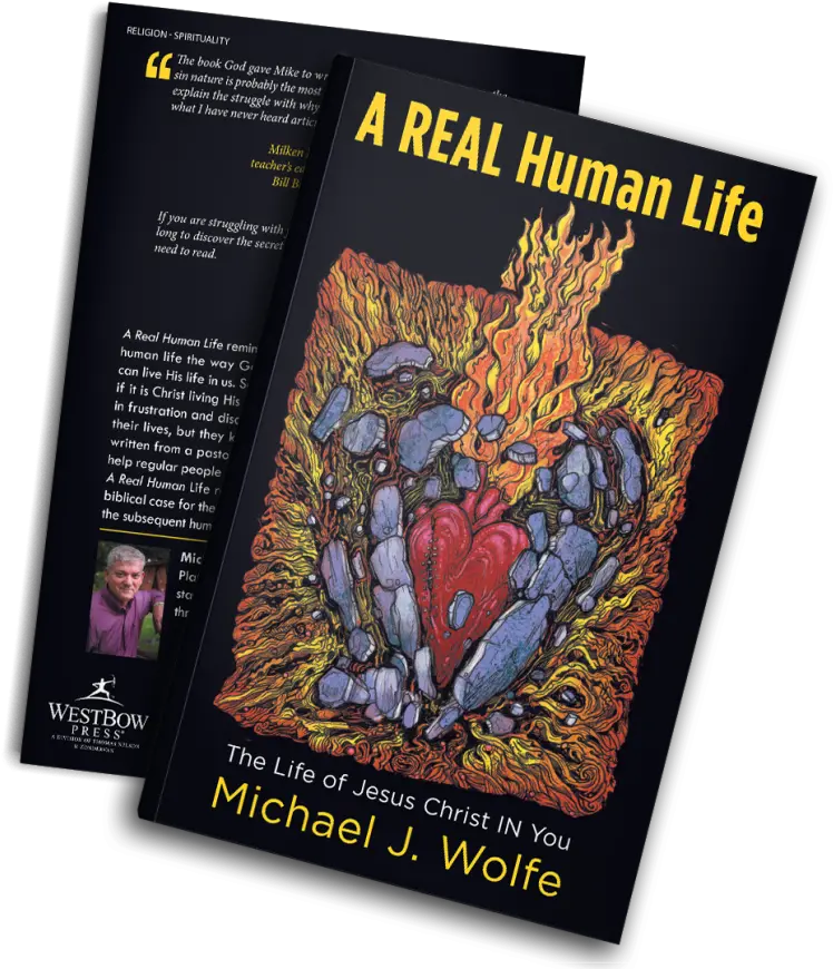 The Book A Real Human Life U2014 Michael J Wolfe Real Danger Making Enemies Png Jesus Christ Transparent