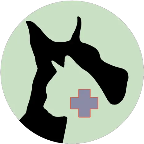 About Our Holistic Pet Care Healing Paws Center Cross Png Healing Icon