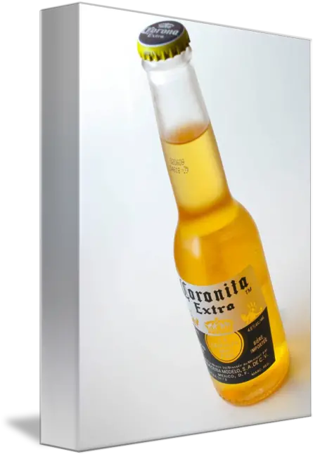 Corona Beer Bottle Well Coronita By Colink Solution Png Corona Bottle Png