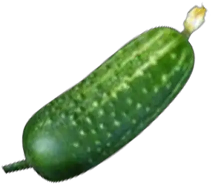 Cucumber Png Transparent Images