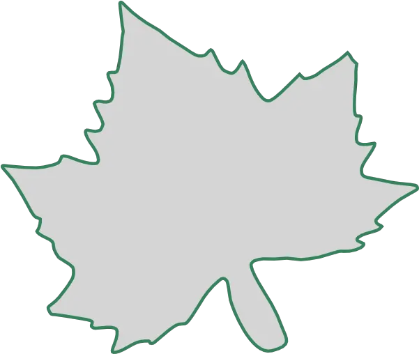 Leaf Outline Png Clip Arts For Web Clip Art Leaf Outline Png