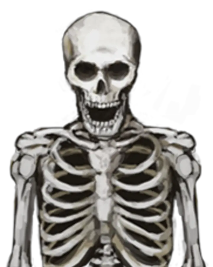 The Skeleton Images Cb Edit Png Skeleton Arm Png