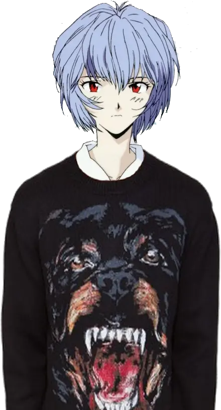 Givenchy Givenchy Rottweiler T Shirt Png Rei Ayanami Png