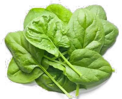 Download Free Png Spinach Clipart Leaf Vegetable Magnesium Rich Foods Spinach Png
