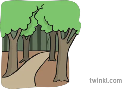 Path In Woods Illustration Twinkl Path Through The Woods Cartoon Png Woods Png