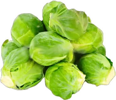 Cabbages Transparent Png Images Stickpng Brussel Sprouts Transparent Background Cabbage Transparent