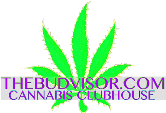 Grow United States The Budvisor Presents Cannabis Illustration Png Weed Plant Png