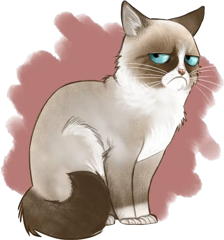 Download Angry Cat Png Image Background Drawings Of Grumpy Cat Angry Cat Png