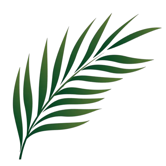 Pot Leaf Png 3d Marijuana Leaf Weed Leaf Png