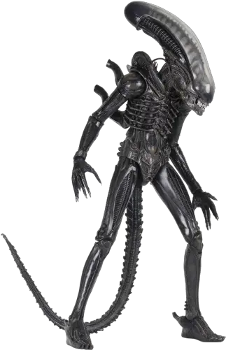 Alien Big Chap 14 Scale Action Figure Alien Figure Png Xenomorph Png