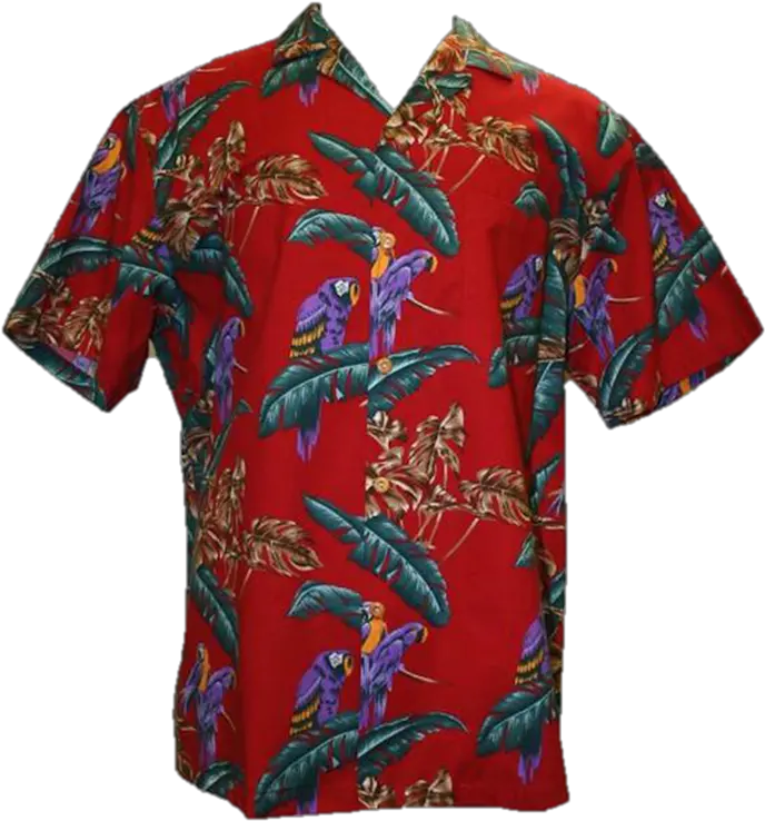 Hawaiian Shirt Png 1 Image Hawaiian Shirt Png Hawaiian Shirt Png