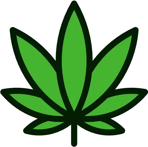 Weed Leaf Transparent Png Cannabis Png Marijuana Plant Png