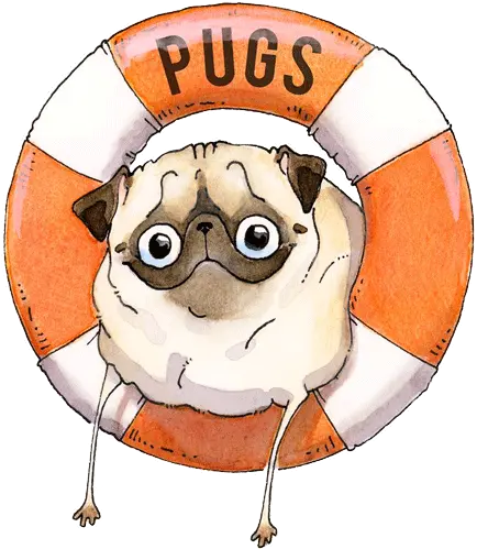 Silicon Wrist Band Pugs Sos Happy Png Pug Icon
