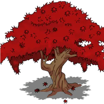 Japanese Maple Tree Simpsonstappedout Fandom Com 2015 Png Japanese Maple Png