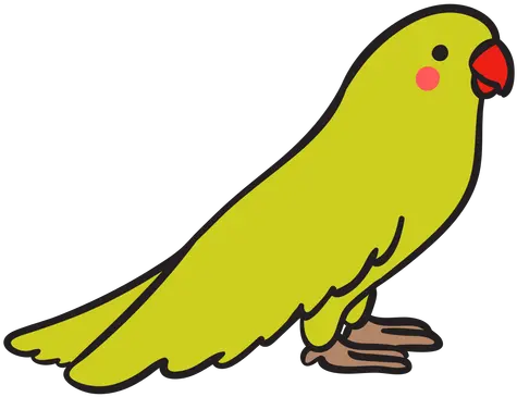 Cute Green Parrot Standing Profile Transparent Png U0026 Svg Lovebird Parrot Transparent