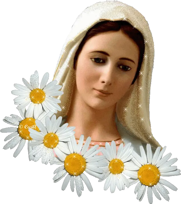 Glitter Graphics The Community For Enthusiasts Mother Mary With Flower Png Sparkle Gif Png