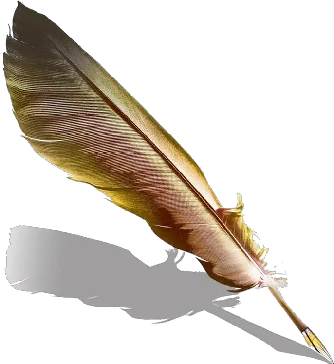 Png Pen Fountain Feather Quill Hd Image Writing Feather Png Quill Pen Png