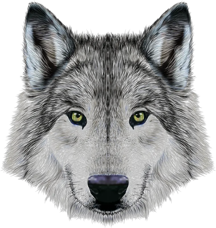 Download Mexican Imposing Arctic Dog Illustration Wolf Dog Wolf Face Png Wolf Face Png