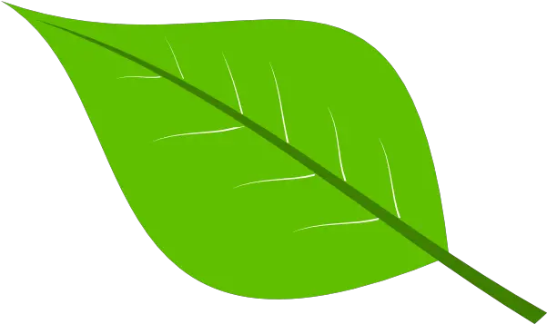 Library Stock Green Leaves Png Files Green Leaf Clipart Leaves Clipart Png
