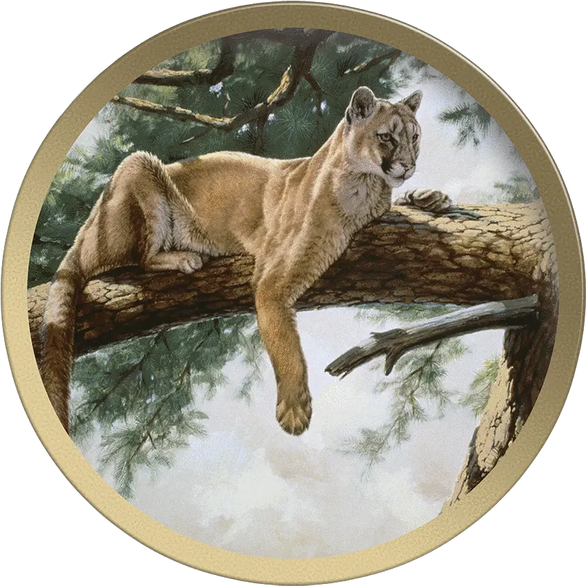 Rocky Mountain Lion Collectable Plate By Guy Coheleach Art Png Mountain Lion Png