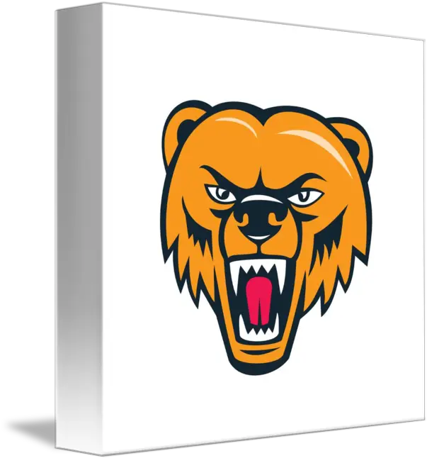 Grizzly Bear Angry Head Cartoon By Aloysius Patrimonio Bear Head Clipart Png Bear Head Png