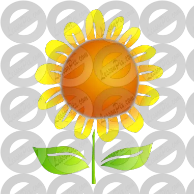 Sunflower Stencil For Classroom Therapy Use Great For Cricket Png Sunflower Clipart Png