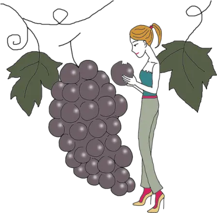 Vine Grape Full Size Png Download Seekpng Illustration Grape Png