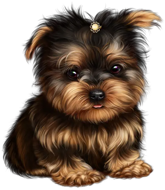 Yorkie Png Tch Llppr Teacup Yorkie Yorkie Tiernos Imagenes Bonitas De Perros Puppy Png